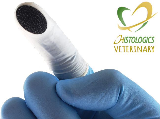 Image of Soft K-Cot.