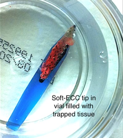 Image of Soft K-Rette.